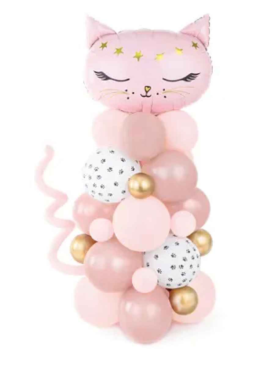 Išskirtinė balionų dekoracija su kačiuku
